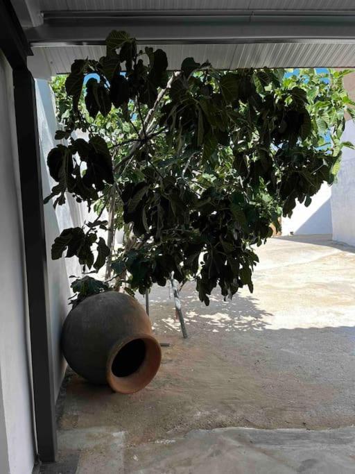 Graja de Iniesta Agradable Casa Con Chimenea Interior Y Barbacoa. 빌라 외부 사진